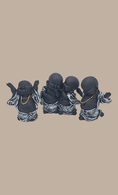 Silver Baby Monk