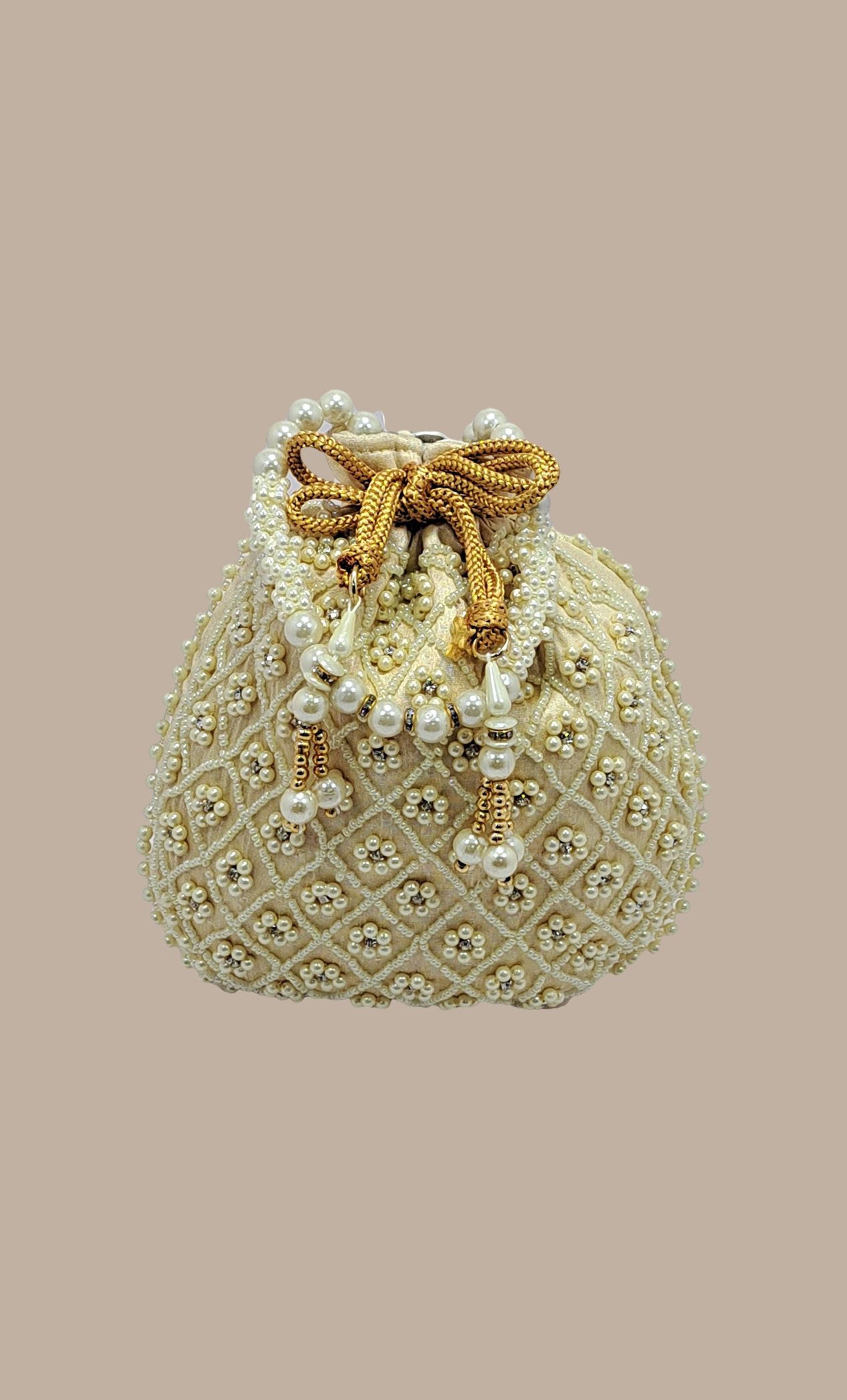 Cream Pearl Embroidered Pouch Bag