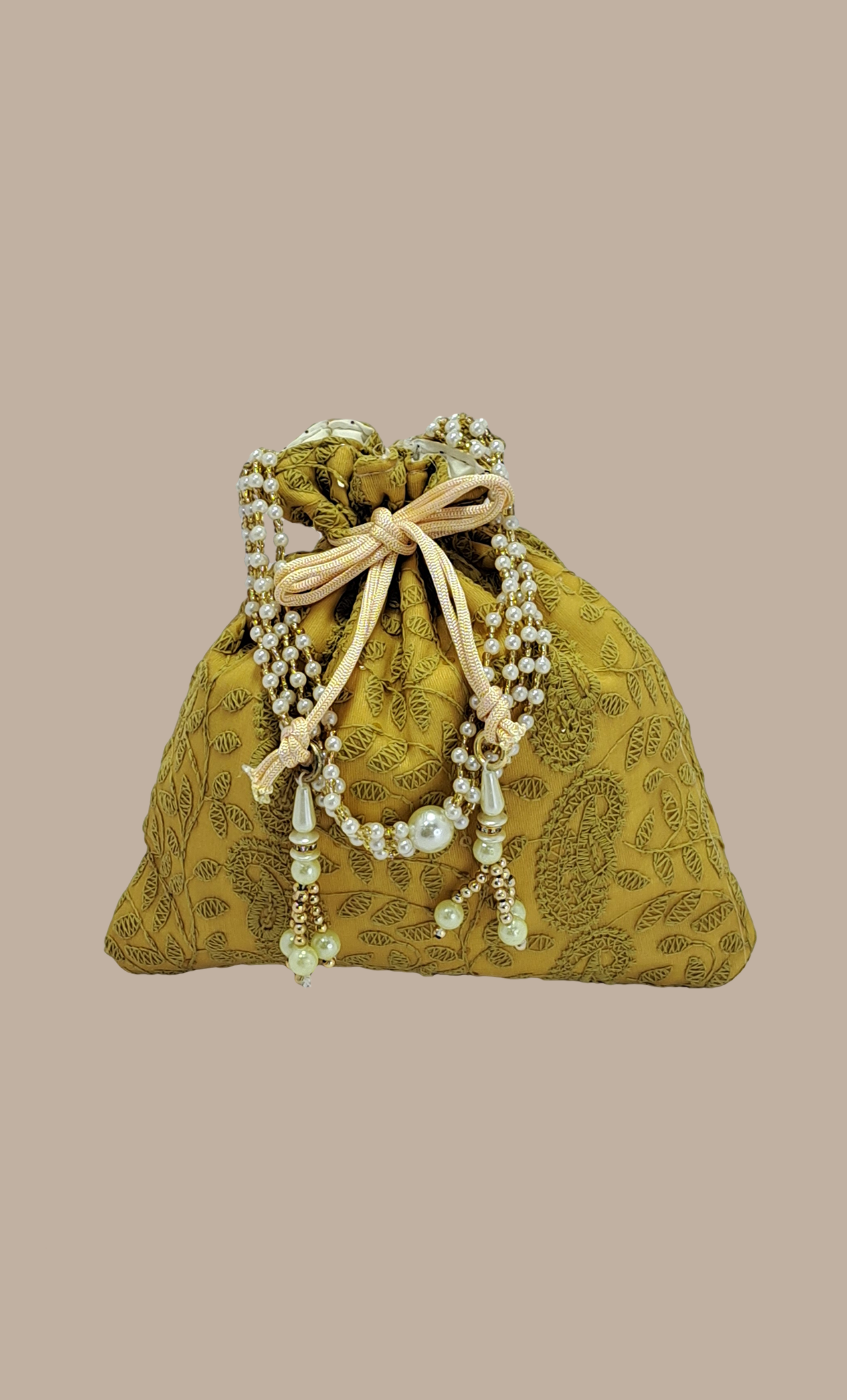 Deep Beige Embroidered Pouch Bag