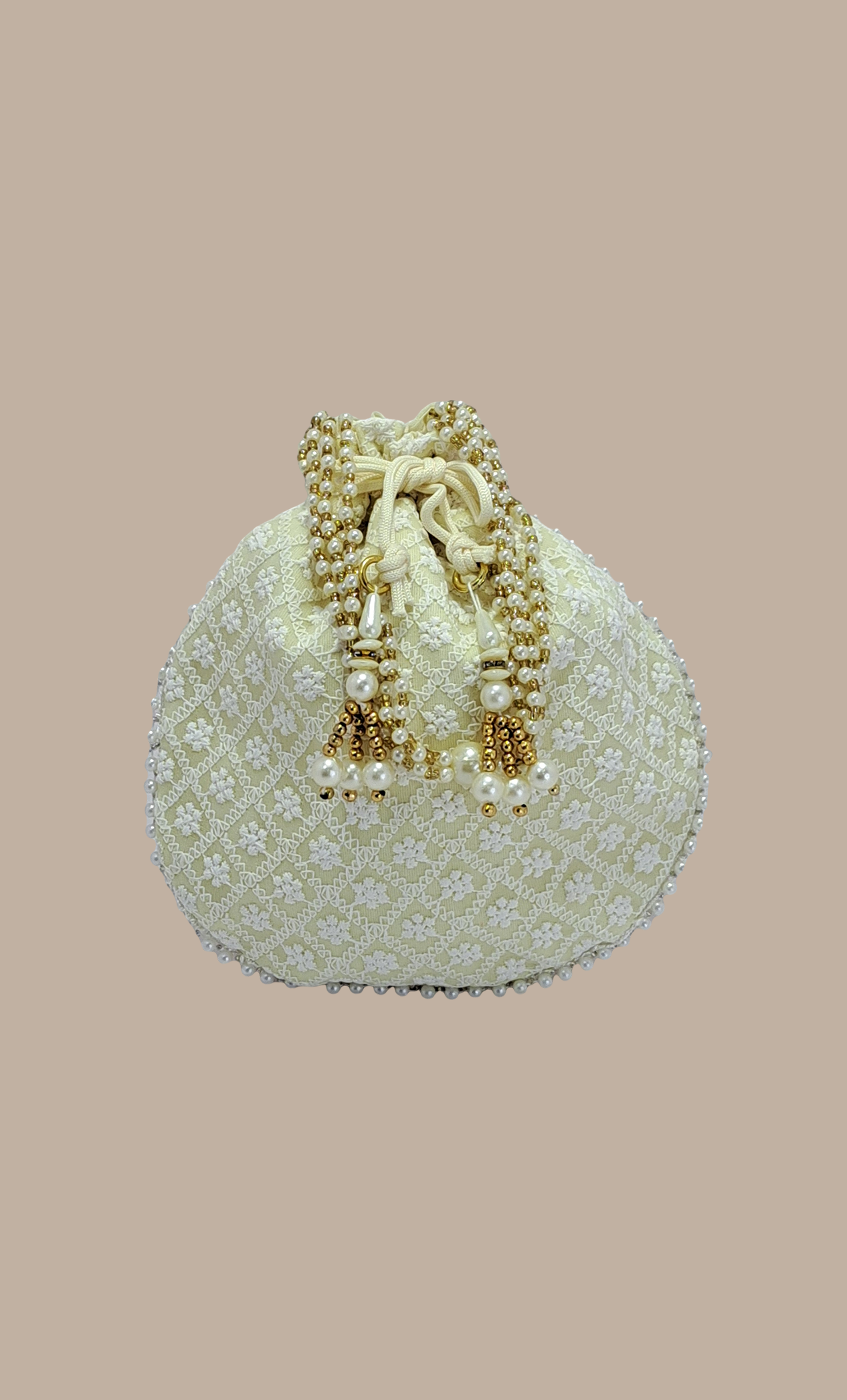 Cream Embroidered Pouch Bag