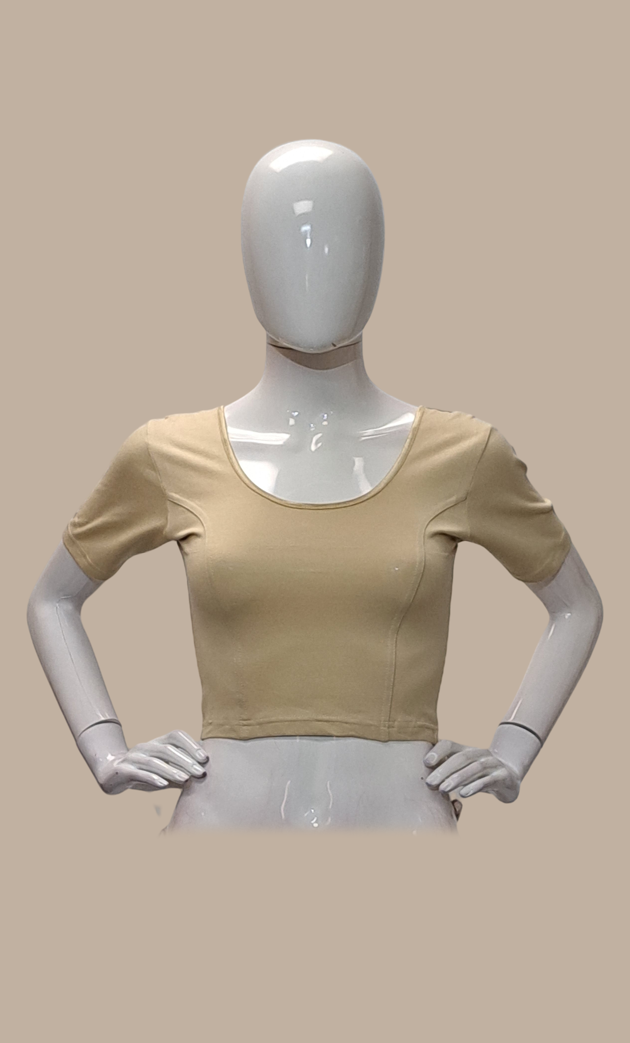 Biscuit Stretch Blouse
