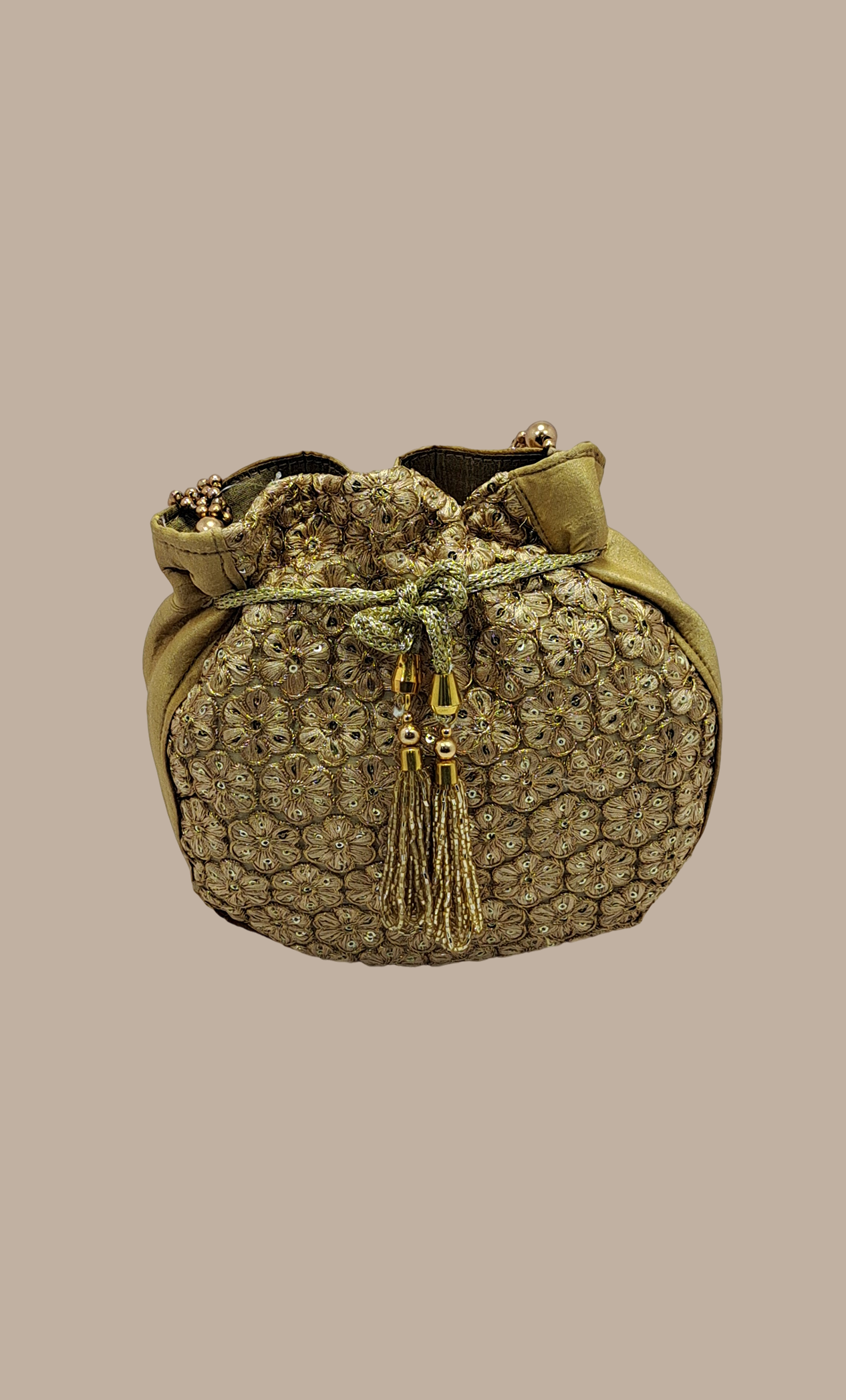 Beige Embroidered Pouch Bag