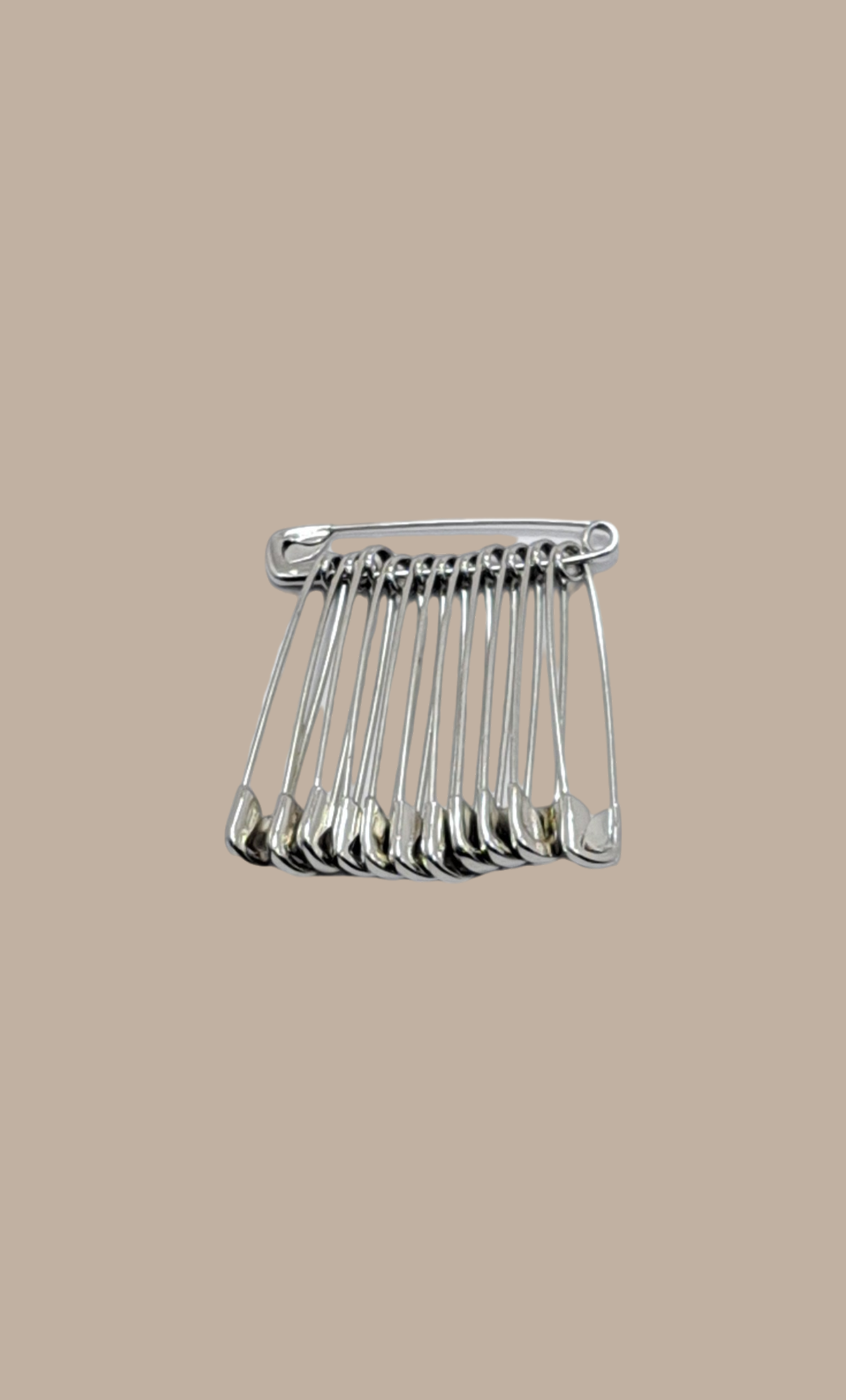 Silver Sari Pins