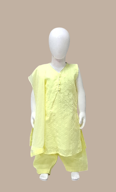 Lemon Embroidered Punjabi