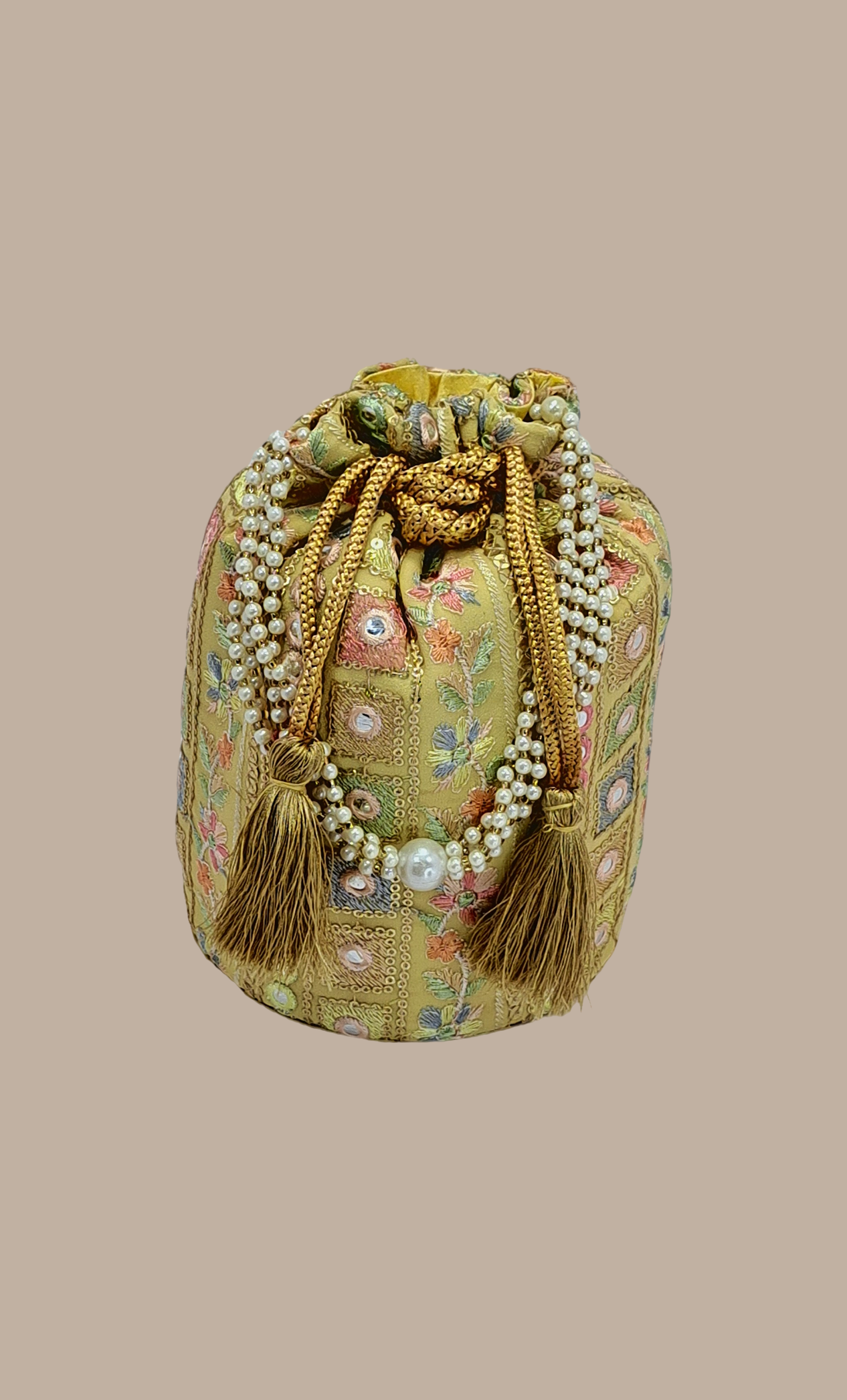 Beige Embroidered Pouch Bag