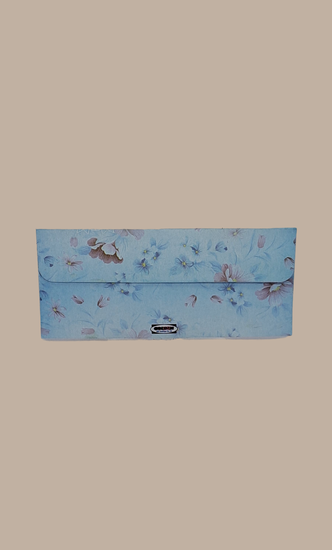 Light Blue Printed Envelope