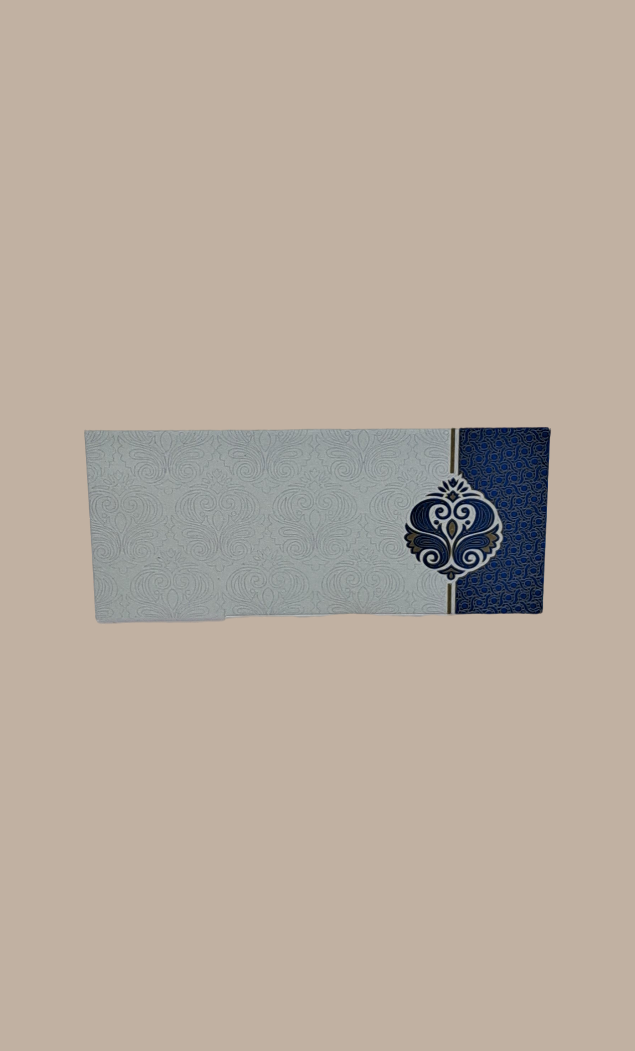 Blue Printed Envelope