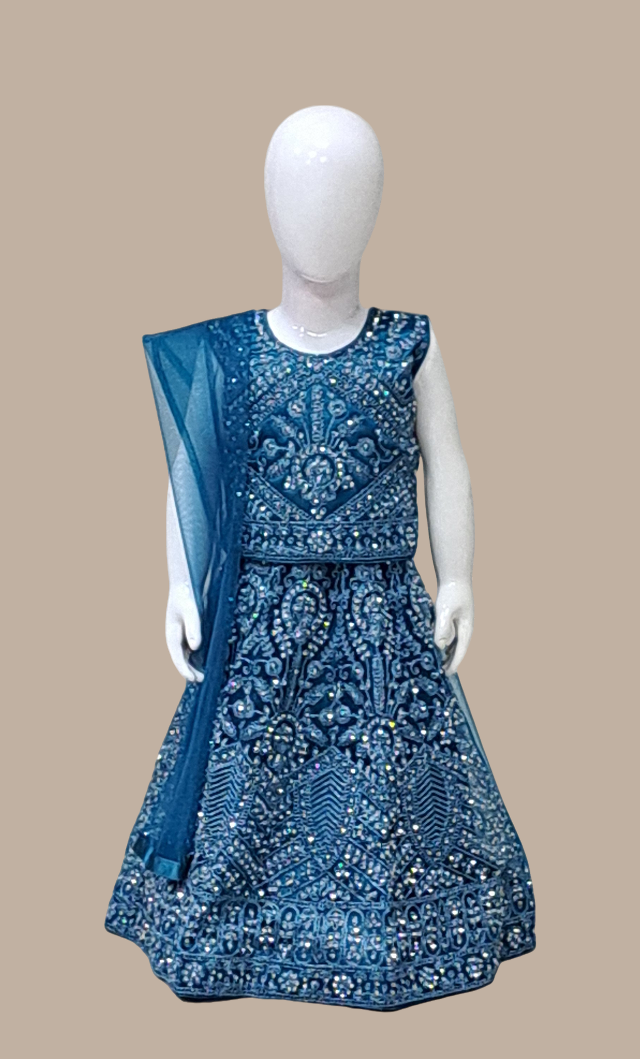 Teal Embroidered Choli Set