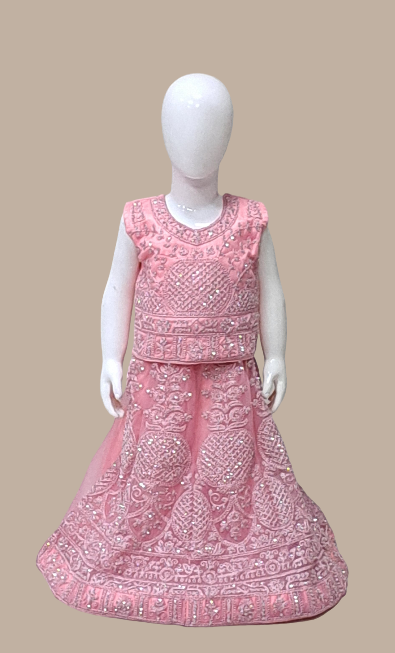 Salmon Pink Embroidered Choli Set