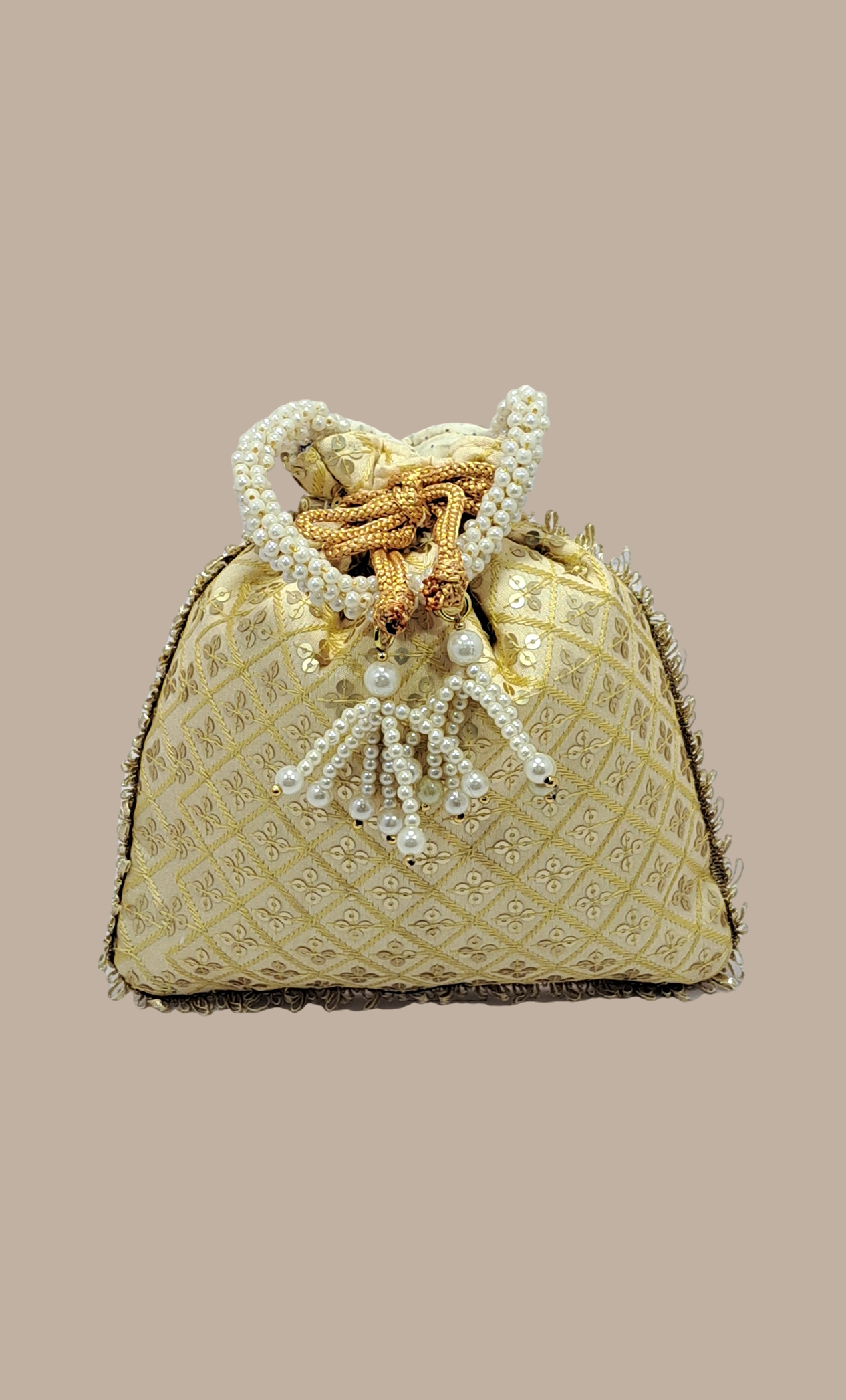 Beige Embroidered Pouch Bag