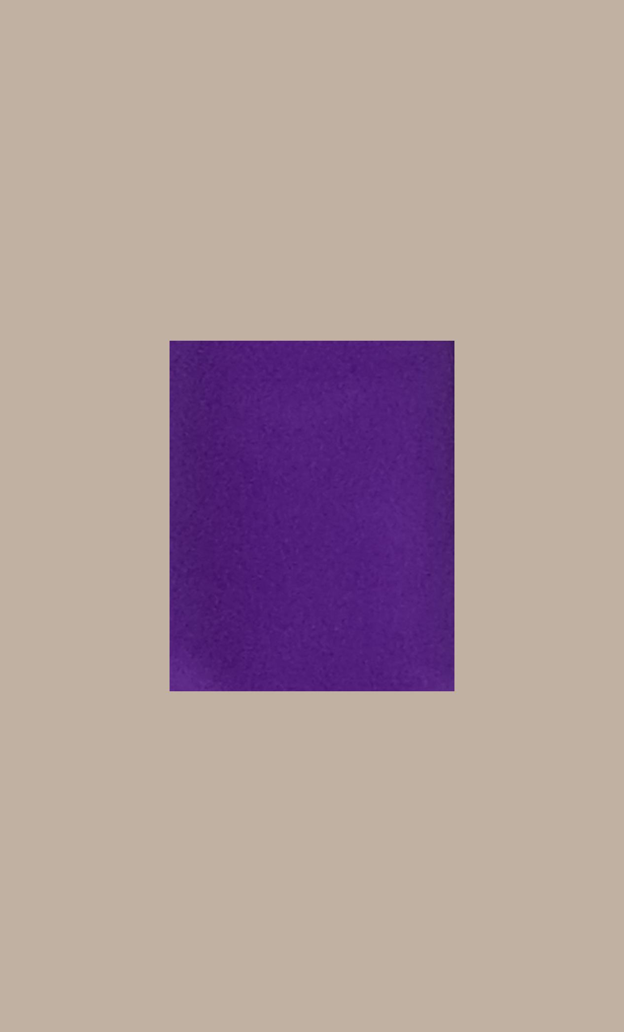 Dark Purple Blouse Lining