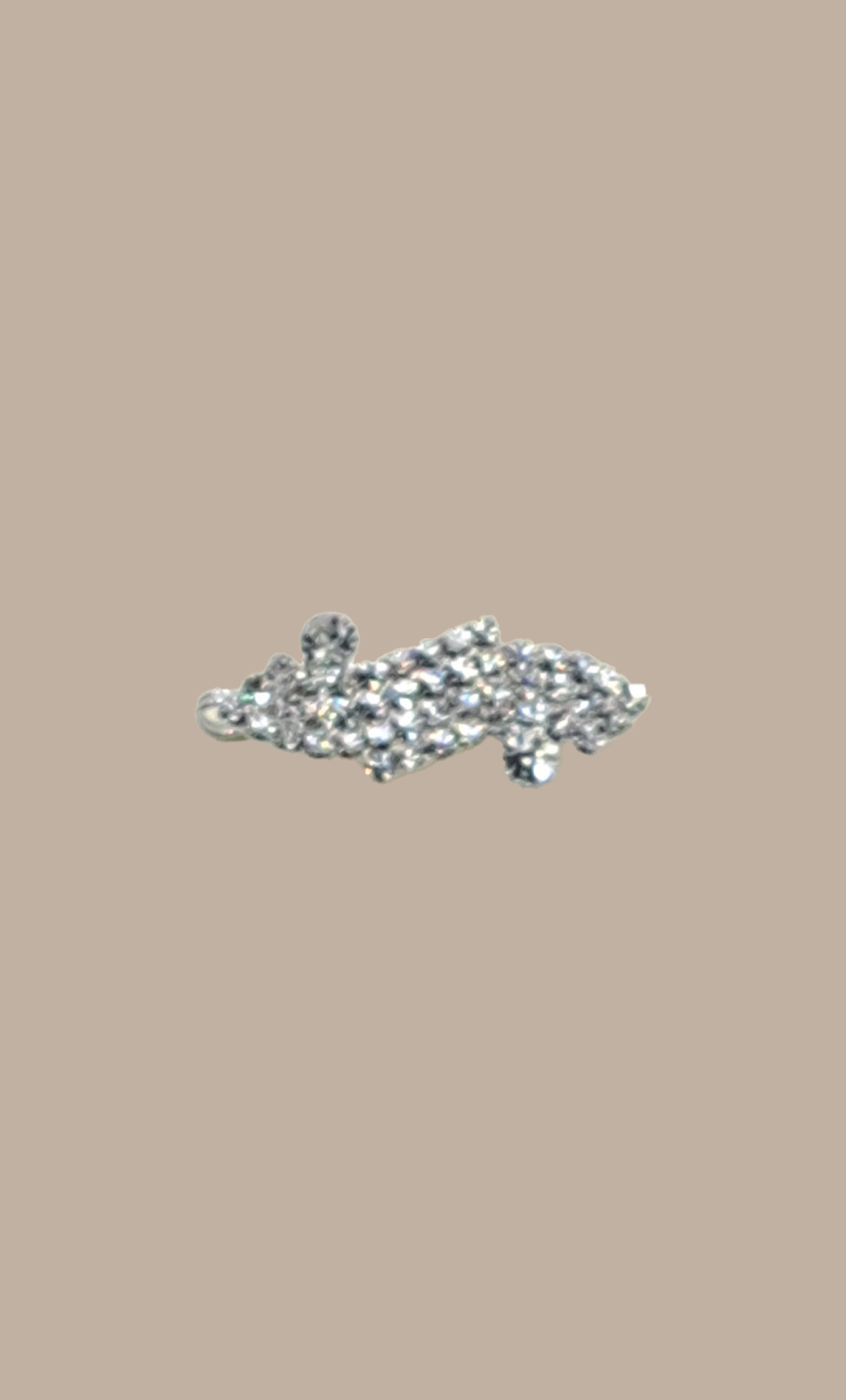 Silver Sari Broach