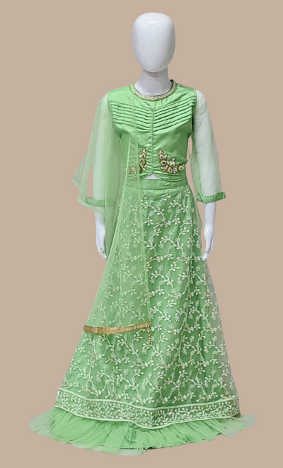 Mint Green Embroidered Choli Set