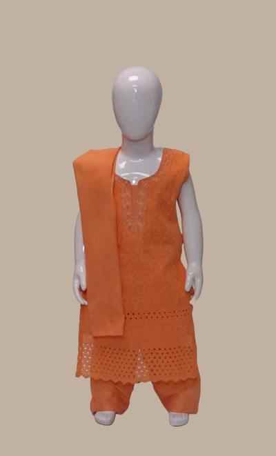 Deep Orange Embroidered Punjabi